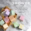 Aromatherapy Shower Steamers, Variety Pack of 12 Shower Bombs, Natural Scented Marble Shower Tablets, Birthday, Relaxing Gift Ideas for Women & Men, Essential Oil Bath Bomb Eucalyptus More