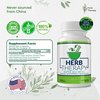 Herb Therapy Sea Moss Capsules 100 Pack - Irish Sea Moss with Bladderwrack Powder & Burdock Root Powder - Keto & Alkaline Diet Support - No Fillers Seamoss Raw Supplement