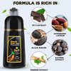 IIIMEIDU Hair Dye Shampoo, Black Color Shampoo Herbal Gray Hair Coverage Shampoo for Women and Men, 3 in 1 Natural Ingredients, 500ml (BLACK)