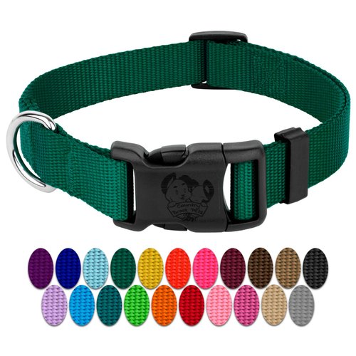 Country Brook Design - 30+ Vibrant Colors - American Made Deluxe Nylon Dog Collar with Buckle (Medium, 3/4 Inch Wide, Green)