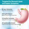purmeo 5 in 1 High Potency H. Pylori Treatment Probiotics - Gastritis Support - 1 Per Day - Pylopass Lactobacillus Reuteri DSM17648 - No Refrigeration Needed - Made in Germany