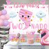 Sursurprise Two Nado Birthday Party Decorations for Girls, Tornado 2nd Birthday Party Decor with Two Nado Backdrop Banner Cake Topper, Number 2 Balloon, Baby Girl 2 Year Old Birthday Supplies