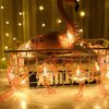 DomeStar 10Ft Pink Flamingo Lights, LED Flamingo String Lights Battery Operated Fairy Lights Outdoor Tropical Hawaiian Luau Party Wedding Birthday Decor