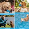 Nobleza Squeaky Dog Ball, Durable Bouncy Floatable Dog Balls for Chewing and Teeth Cleaning, Interactive Natural Rubber Lightweight Dog Toy Ball for Small and Medium Dogs, 3.15 in, Blue
