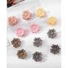 Small Hair Clips Flower Hair Claw Clips for Women 12pcs Matte Small Claw Clips Cute Hair Clips for Girls (Flower - Yellow/Pink/Grey/Coffee/Brown)