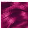 Adore Semi Permanent Hair Color - Vegan and Cruelty-Free Hair Dye - 4 Fl Oz - 086 Raspberry Twist (Pack of 2)