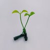 50pcs Bean Sprout Hair Clips Little Grasst Hairpins Funny Barrette Headwear Hair Accessories for Women Kids Girls Lady Home School Party Headwear