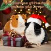 redaica Valentines Day Gifts for Kids, 2pc Guinea Pig Stuffed Animals Realistic Plush Cute Valentine Stuffed Animals Toys, Small Live Animals Pet Doll for Boys Girls Valentines Day Classroom Gifts