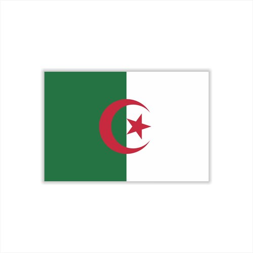 Womaha 30 Temporary Algeria Flag Tattoos Fans Face Tattoo Stickers for Adults Kids Group Activity Props