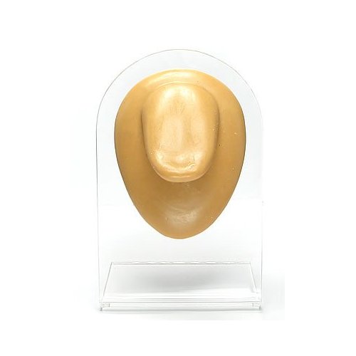 Painful Pleasures One Tan Silicone Body Bit with Display Stand — Tongue — Version 1 Silicone Body Part