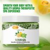SPA REDI – Exfoliating Scrub Pumice Gel, Lemon & Lime, 16 Oz - Manicure, Pedicure and Body Exfoliator Infused with Hyaluronic Acid, Amino Acids, Panthenol and Comfrey Extract