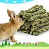 matafat 25pcs Rabbit Timothy Hay Toy for Bunny Small Animal Treats Natural Grass Stick Chew Toys Snacks Molar Teeth Grinding for Guinea Pigs Chinchillas Hamsters