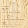 Rahua Classic Hair Conditioner, 9.3 Fl Oz, Moisturizing Organic Conditioner, Natural, Plant Based Derived Ingredients, Palo Santo, For Dry Damaged Hair, Hair Care for Soft & Shiny Hair, Scalp Care