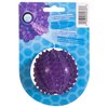 JW Pet BRISTLY Cactus Ball Dog Toy, Purple