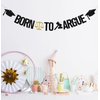 Born to Argue Banner,Congrats Lawyer Graduation Party Decorations,Class of 2024 Law School/Passed the Bar Graduation Party Supplies Gold Black