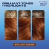 Clairol Nice'n Easy Permanent Hair Color, 6R Light Auburn