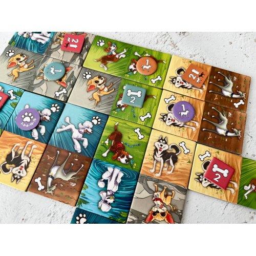 Fireside Games Zoomies – Fast-Paced Dog Walking Family Card Board Game Fun for All Ages Quick Play 2 to 4 Players Ages 10+