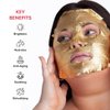 SKIN GYM Gold Foil Face Mask - With Bakuchiol and Super Hydra Complex With Sodium Hyaluronate and Amino Acids- Soothing, Anti Aging, Depuffing and Anti Wrinkle, 3 Pack