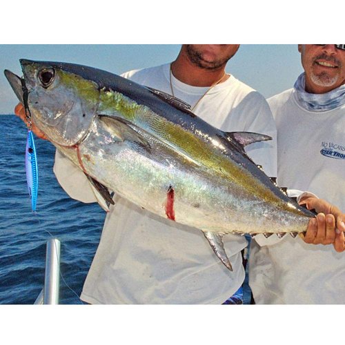 Goture Fishing Jig 80-200g with Assist Hook, Vetical Jig Saltwater, Speed Fast Jigging Spoon Lure, Deep Sea Fishing Lures for Tuna, Kingfish, Bluefin, Yellowfin, Snappers, Groupers, Striper, Salmon