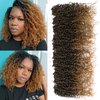 Silike 10packs Yanky Twist Crochet Braids Hair Extensions (T27, 10)