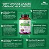Zazzee USDA Organic Milk Thistle 30:1 Extract, 7500 mg Strength, 90 Vegan Capsules, 80% Silymarin Flavonoids, Healthy Liver Detox & Cleanse Support, 100% Vegetarian, Non-GMO, Made in The USA