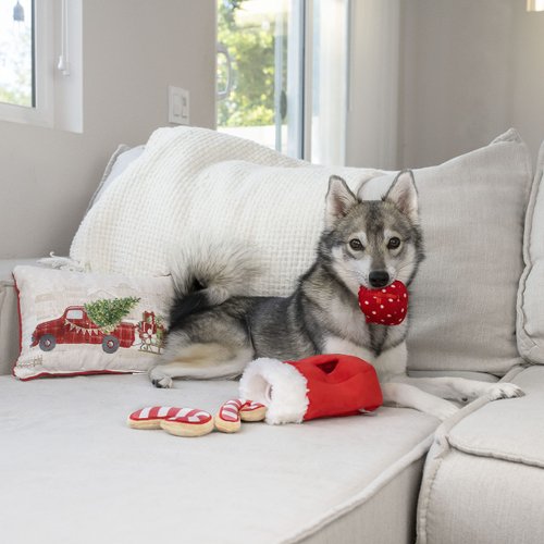 Midlee Find a Toy Christmas Stocking Dog Toy