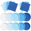CMUSKO 60Pcs Blue Plates and Napkins-Light Blue Party Supplies Gradient Blue Disposable Tableware for Birthday,Baby Shower,Wedding
