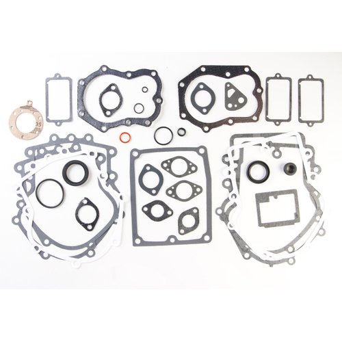 Briggs & Stratton 495868 Engine Gasket Set Replaces 491856, 394501, 393278