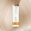 One N' Only Permanent Hair Color - Permanent Hair Dye Made with Argan Oil - Delivers Rich, Accurate Tones with Gray Coverage - Improves Moisture & Elasticity - 11HLA Hi-Lift Cool Blonde (3 oz)