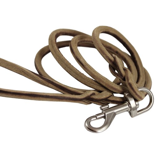 Genuine Leather Rope Leash 6Ft Long 3/16" Diam for Small to Medium Dogs