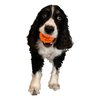 Woof Sports Dog Tennis Balls 12 Orange Tennis Balls for Dogs. Easy to Find! Includes Carrying Bag. Medium Size Balls Fits Standard Ball Launchers