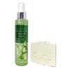 Bath & Body Works Vanilla Bean Noel Diamond Shimmer Mist with a Natural Oats Sample Soap