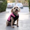 Gooby Fashion Vest Dog Jacket - Pink, X-Small - Warm Zip Up Dog Bomber Vest with Dual D Ring Leash - Winter Water Resistant Small Dog Sweater - Dog Clothes for Small Dogs Boy or Medium Dogs