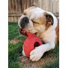 Jolly Pets Tuff Treader Dog Toy with Handle, 6 Inches, Red, Model:JTR23, All Breed Sizes