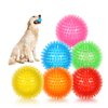 petizer 6 Pack 2.5” Squeaky Dog Toy Balls, Floating Dog Pool Balls, Spiky Dog Balls, Durable Interactive Fetch Toys for Puppy, Dog Chew Toys for Teething (2.5", Small Dog)