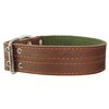 Genuine Leather Dog Collar, Padded, Brown 1.75" Wide. Fits 23"-27" neck size Great Dane Newfoundland