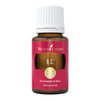 Young Living R.C. Essential Oil Blend | 15ml | A Powerful Combination of Cypress, Spruce, Myrtle, Pine, Eucalyptus Essential Oil, and More for a Refreshing and Uplifting Aroma