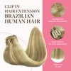 GOO GOO Clip in Hair Extensions Real Human Hair, 14inch 150g 9Pcs, 16/22 Light Blonde Highlighted Golden Blonde, Remy Human Hair Extensions Clip ins for Women, Natural Human Hair