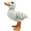 Higherbros Rubber Ducks Farm Realistic Animal Figurines Duckling Little Duck Animal Figures for Children's Toys Bath Toys and for Party Favors, Gifts, Prizes, Rewards, Giveaways (White)