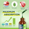 Marine Phytoplankton Drops 2000mg - High Absorption Phytoplankton Supplement with Wheatgrass & Fo-ti for Cellular Wellness, Hair Growth, Energy & Immunity - Green Apple Flavor, 2 fl oz (Pack of 1)