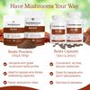 Real Mushrooms Reishi Capsules - Organic Mushroom Extract Supplement with Potent Red Reishi Mushroom - Vegan Mushroom Supplement, Non-GMO, 90 Caps
