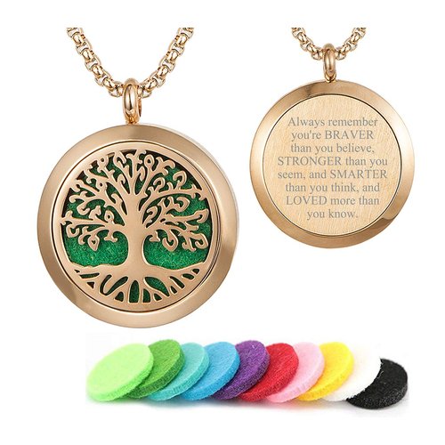 Aromatherapy Essential Oil Diffuser Necklace 316L Stainless Steel Locket Pendant with 24 Inch Chain(Rose)