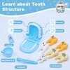 Dentist Play Set with Pretend Play Set of Teeth and Dental Accessories,30 Pieces Toy Doctor Kit for Kids with Medical Bag & Dental Tools,Pretend Dentist Play Set,Dentist Kit for Kids Ages 3+
