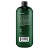 Botanic Hearth Tea Tree Conditioner | For All Hair Types | Fights Dandruff & Dry Scalp | With Vitamin C, Peppermint Oil, Rosemary Oil & Lavender Oil | Sulphate & Paraben Free | 16 fl oz