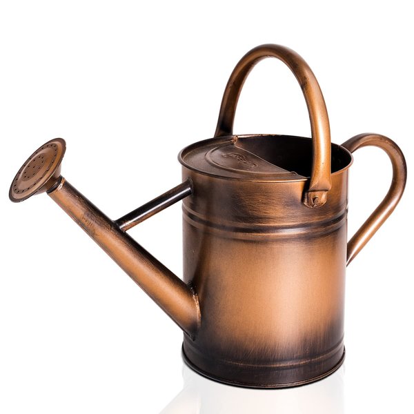 Cesun 1 Gallon Metal Watering Can for Outdoor Plants - Copper Finish. Galvanized Steel Pot with Removable Spout for Easy Use. Ideal for Gardening Outdoors.