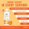 MaryRuth Organics Liposomal Vitamin C | Immune Support Supplement | Vitamin C 500mg | Megadose Vitamin C Supplement | Skin Care | Liquid Vitamin C | Vitamin E | Vegan | Non GMO | 30 Servings