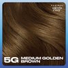 Nice n Easy Clairol Permanent Hair Dye,5G Medium Golden Brown Hair Color,Pack of 1