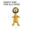 Outward Hound Squeakin' Squiggles Lion Plush Dog Toy
