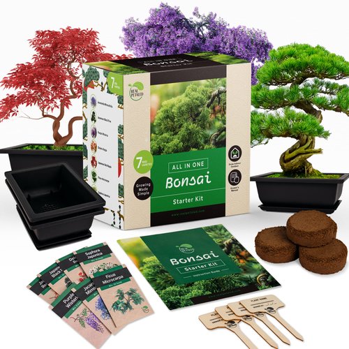 REALPETALED Bonsai Starter Kit – Japanese Bonsai Tree Kit with Bonsai Tools, 7 Bonsai Tree Seeds,...