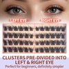 Cluster Lashes Wispy Individual Lash Extensions D Curl Natural Lash Clusters 10-14.5MM 132 Pcs DIY Eyelash Extension Cat Eye Eyelash Clusters with Tweezers Self-application at Home by MLEN DIARY